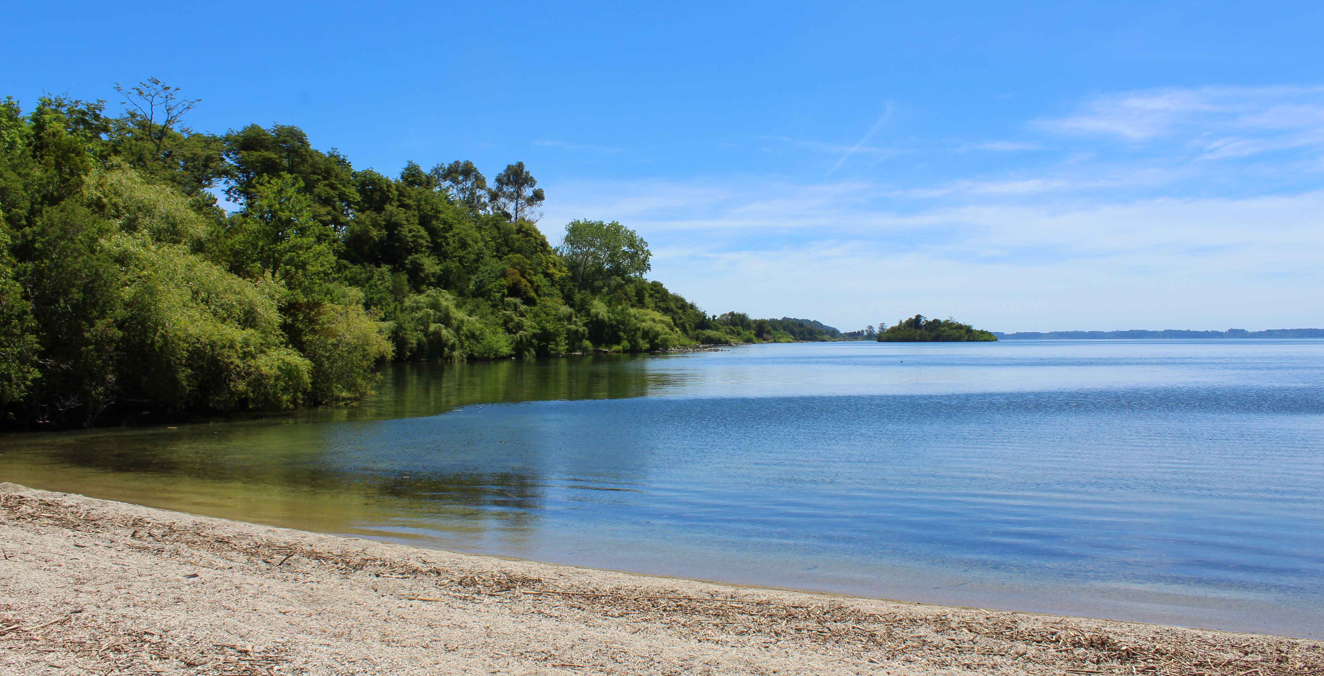 Camping y Cabañas Los Copihues