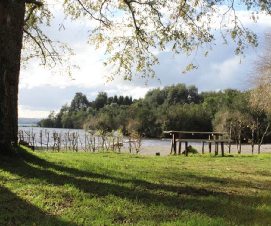 Camping y Cabañas Los Copihues