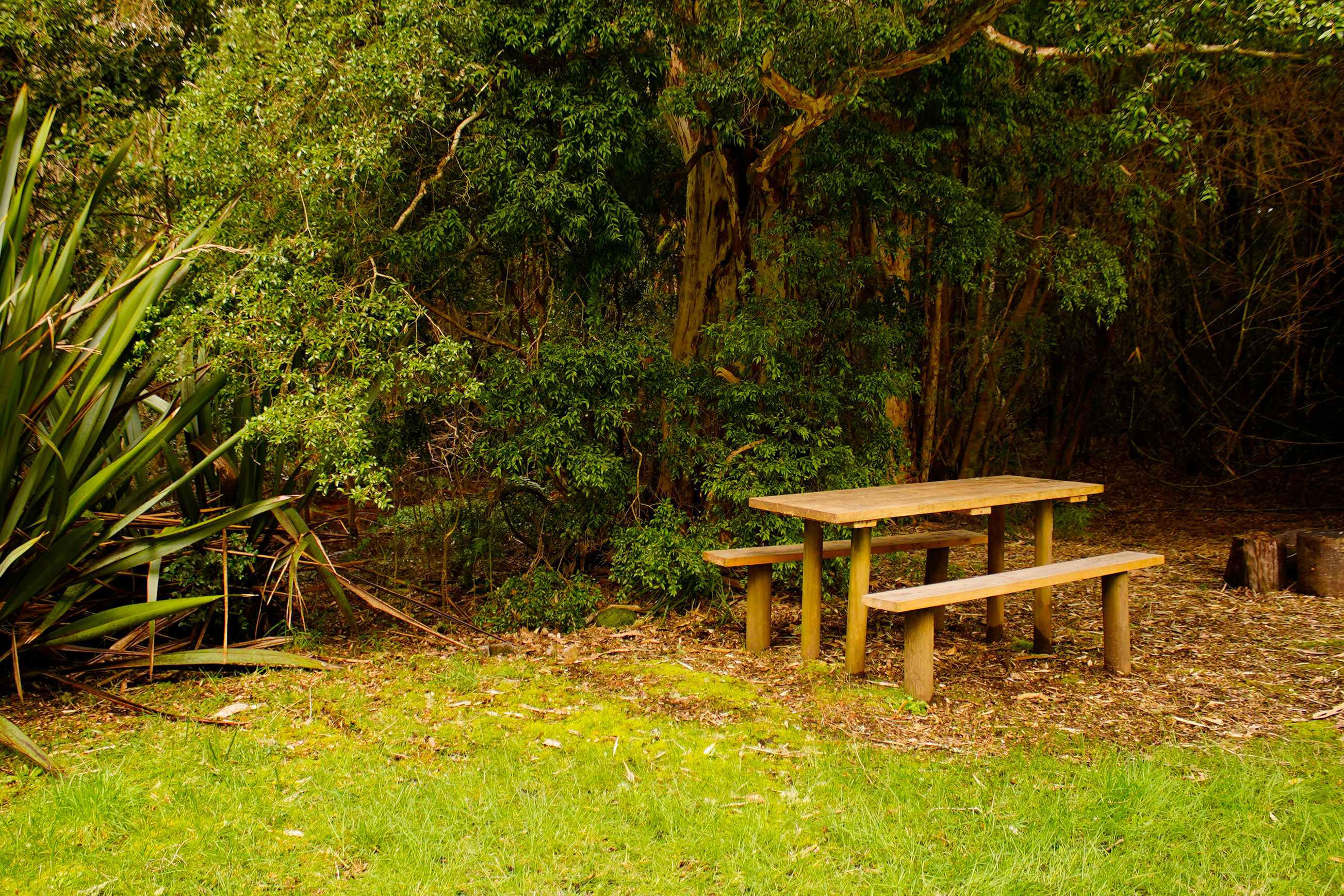 Camping y Cabañas Los Copihues