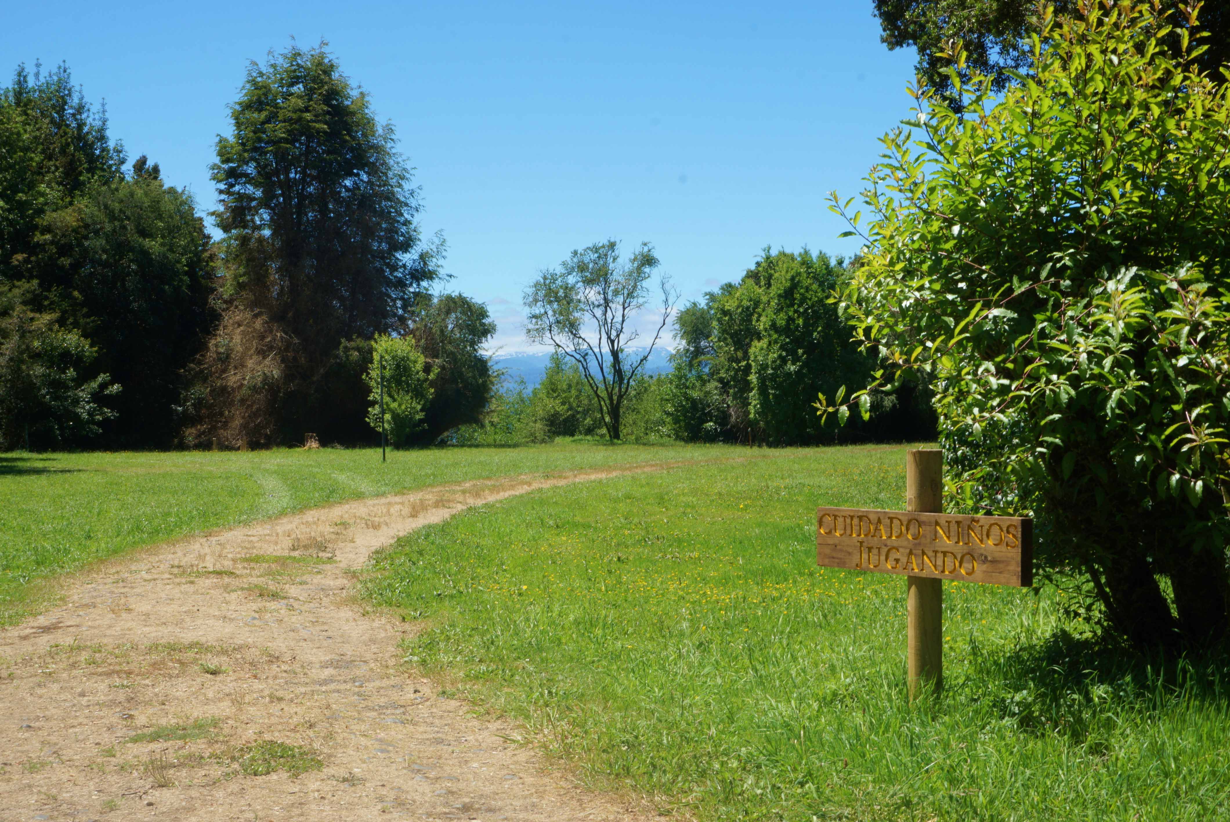 Camping y Cabañas Los Copihues