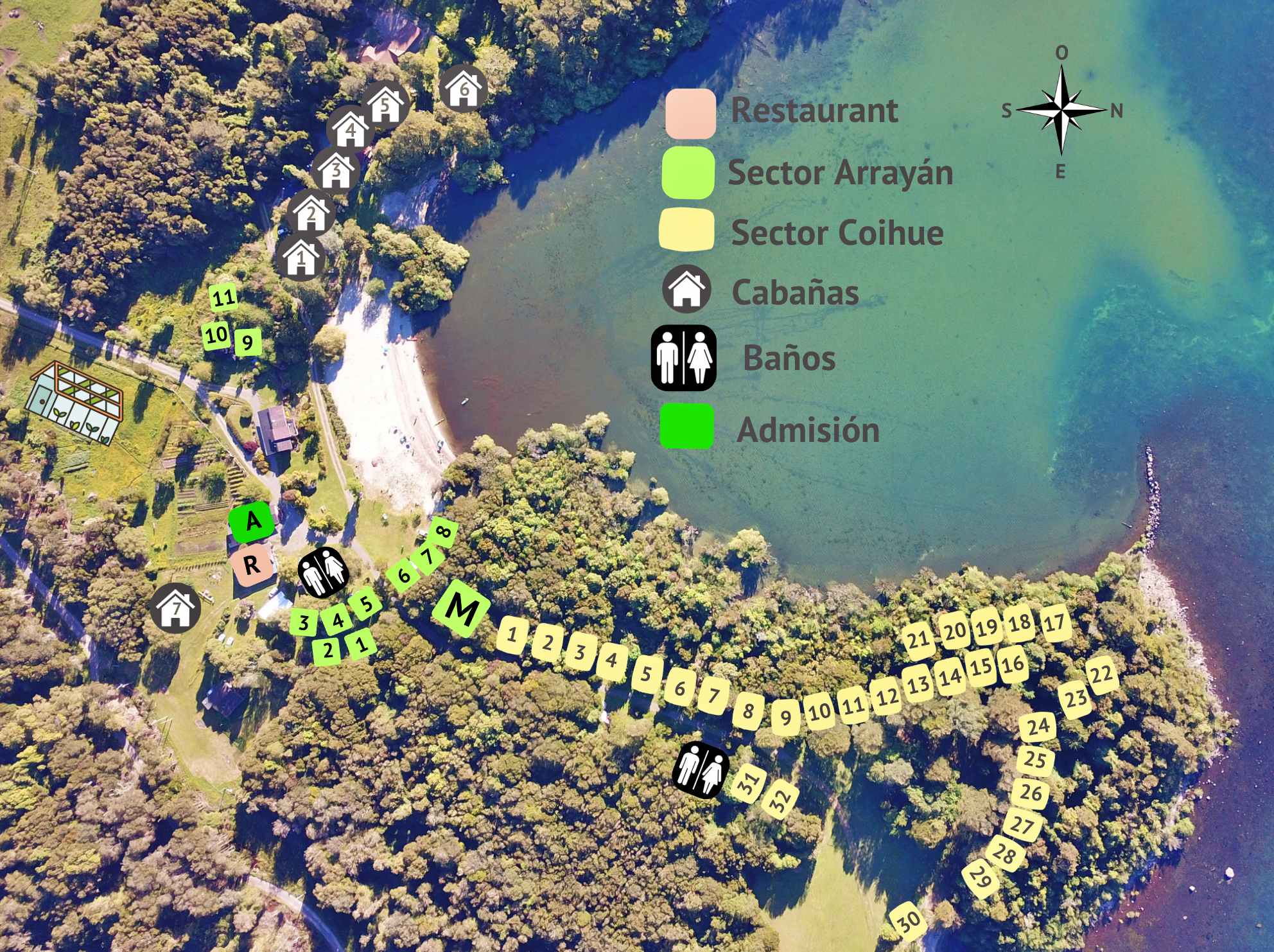 Camping y Cabañas Los Copihues